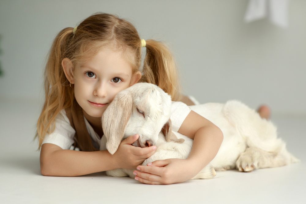 Photograph by Ольга Пащенко