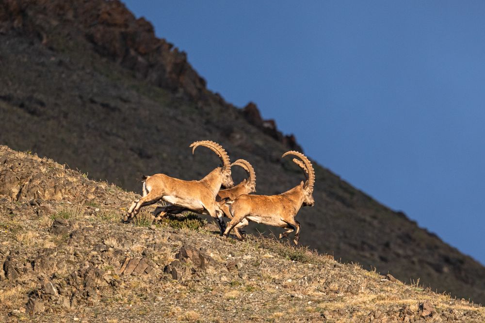 Photograph by Azjargal Adiya