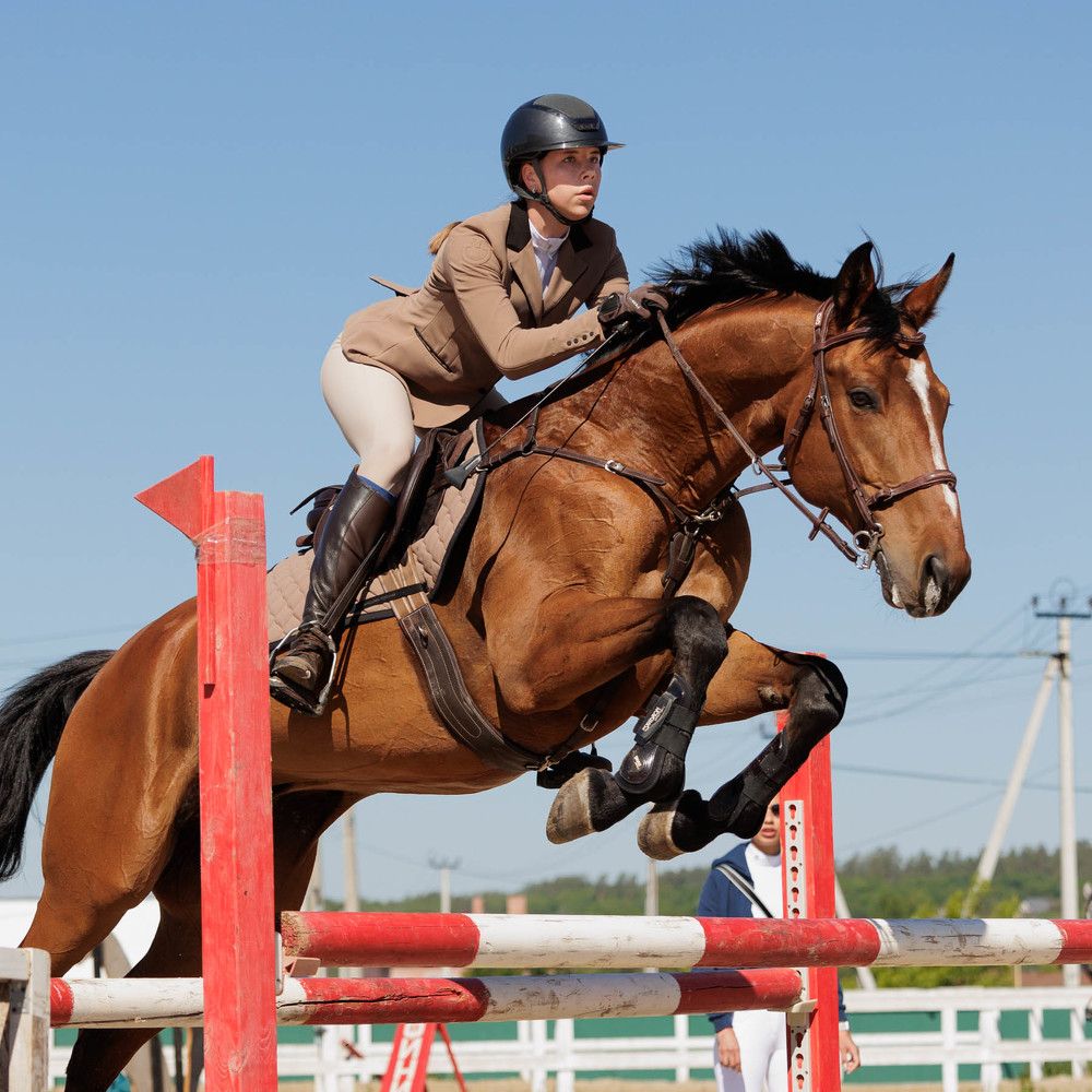 Фотография автора Елена Гордиевская