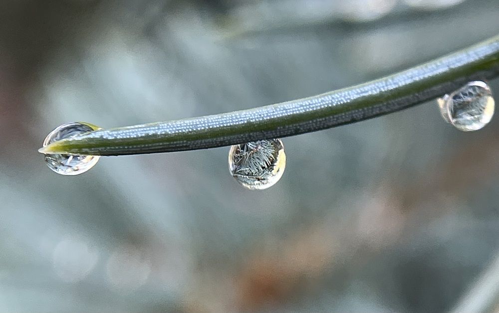 Фотография автора Рамзия Хисамутдинова