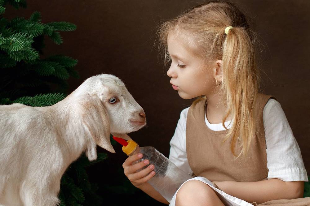 С козленком