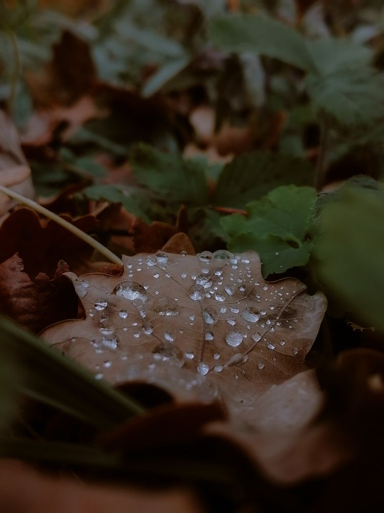Photograph by Ольга Мазитова