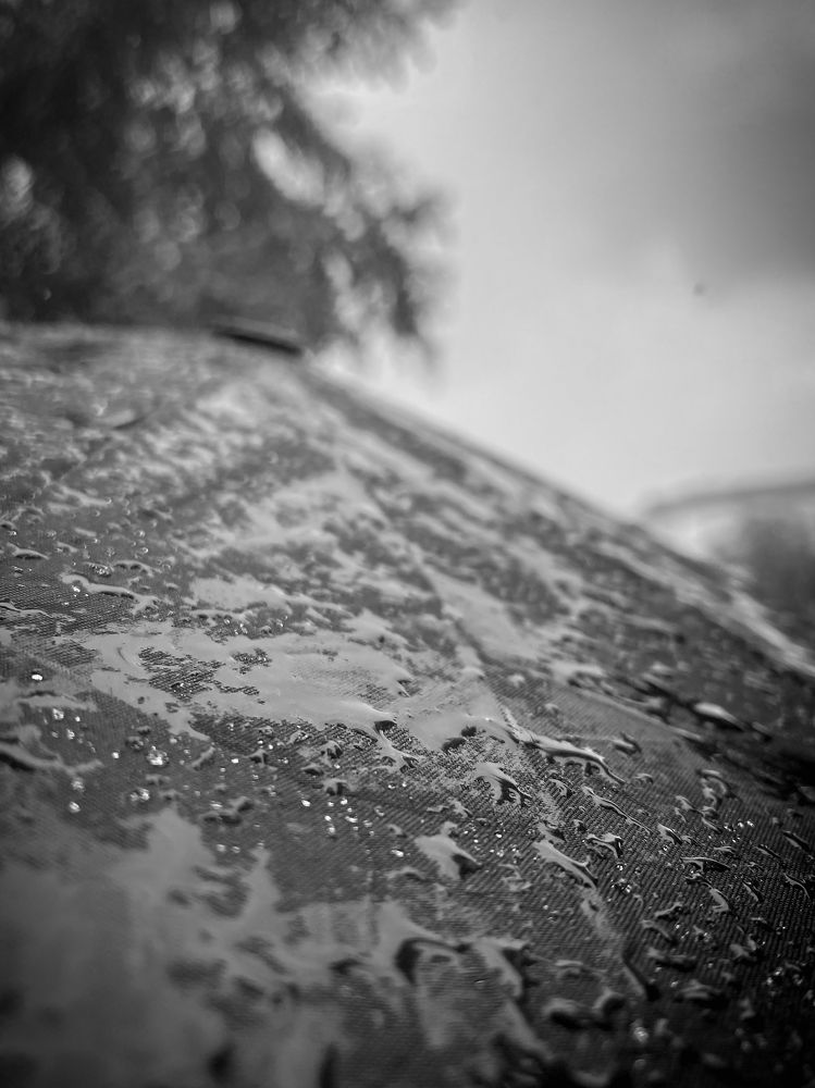 Photograph by Uladzimir Hvozd