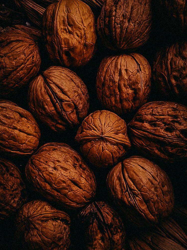 Фотография автора Алиса Исаева