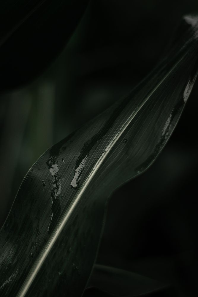 Photograph by Татьяна Зубехина