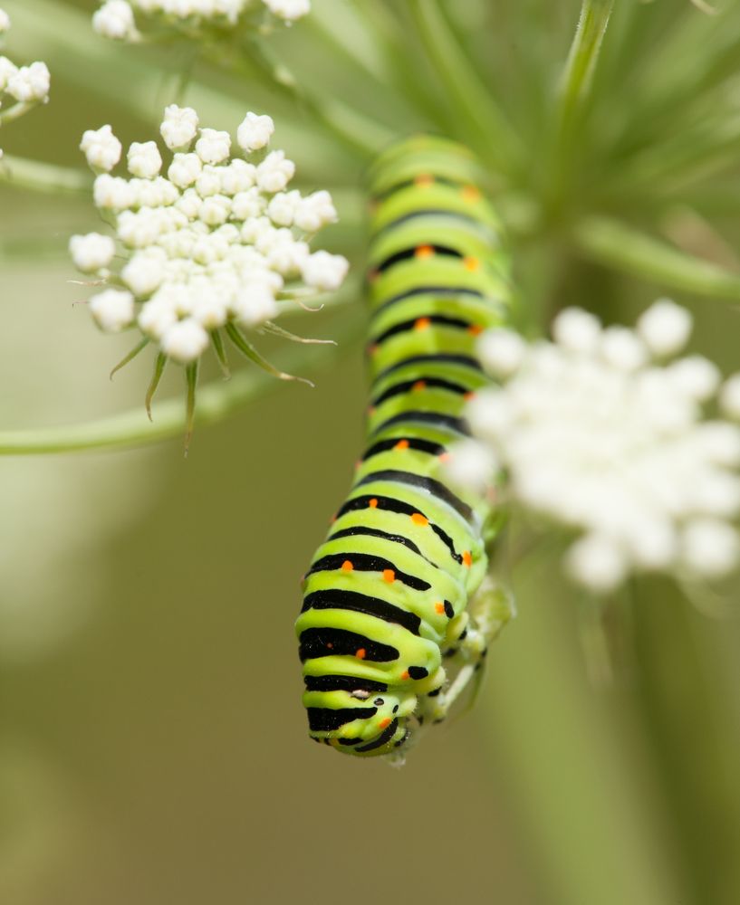 Photograph by Дмитрий Рассыльщиков