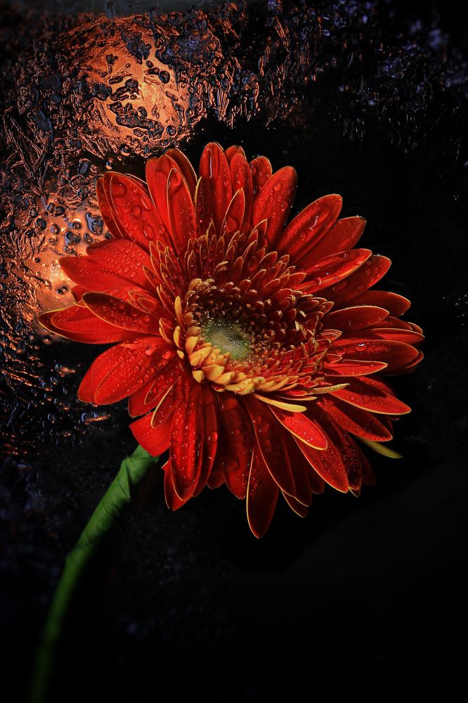 Photograph by Олеся Постнова