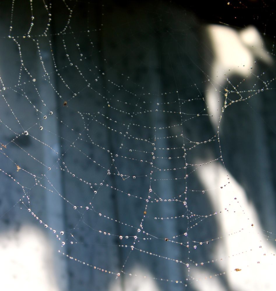 Photograph by Николай Немчанинов