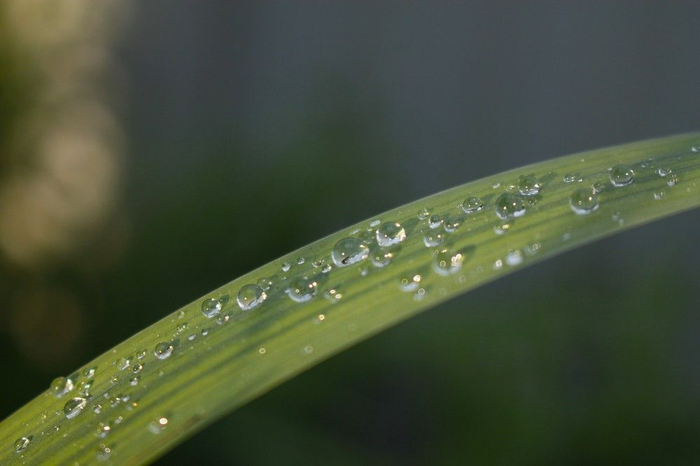 Photograph by Елена Карпухно