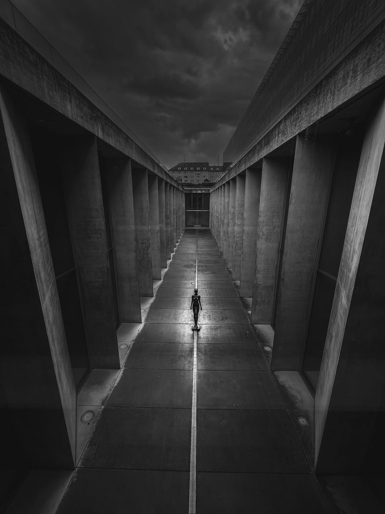 Фотография автора Dmitrii Rabeev