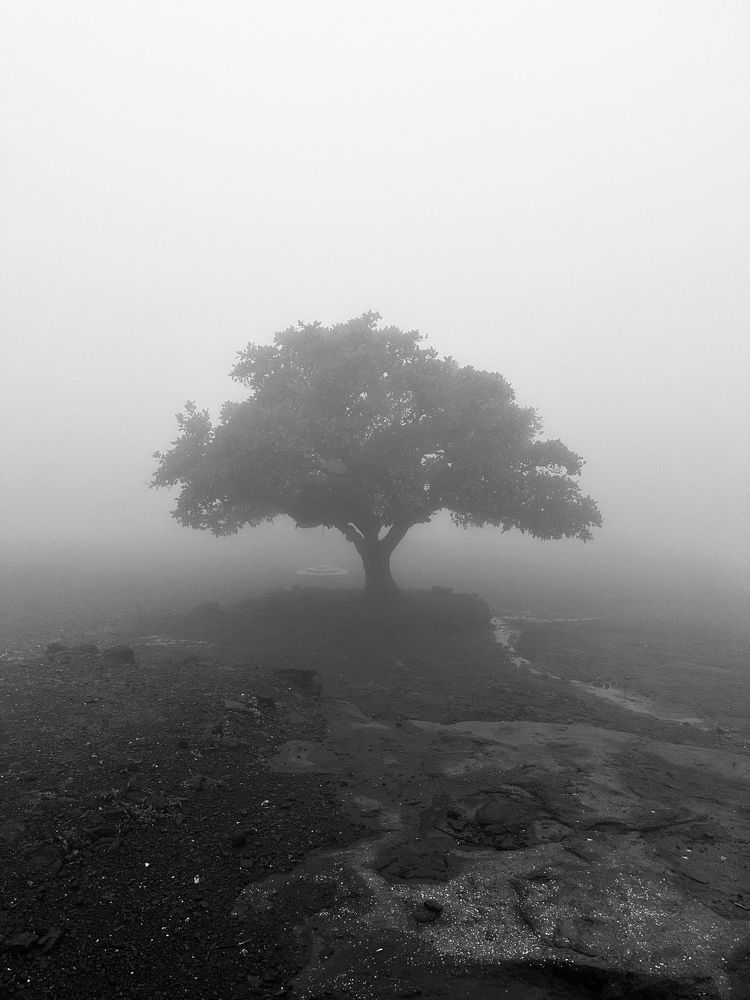 Photograph by Pratik