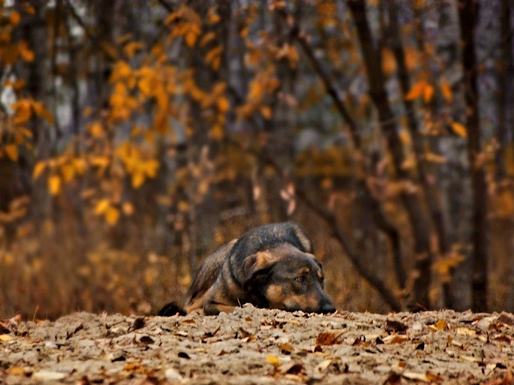 Photograph by Елена Ласун