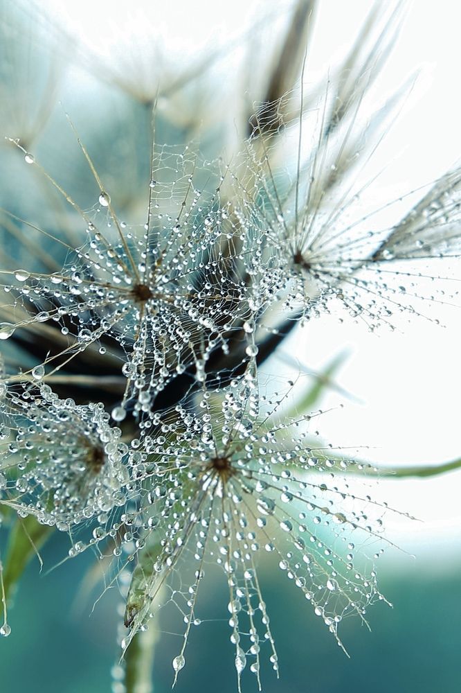 Photograph by Олеся Постнова