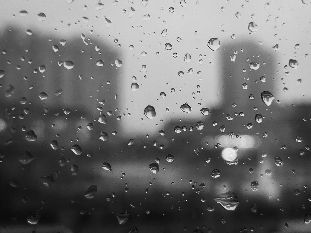 Photograph by Алина Стемковская