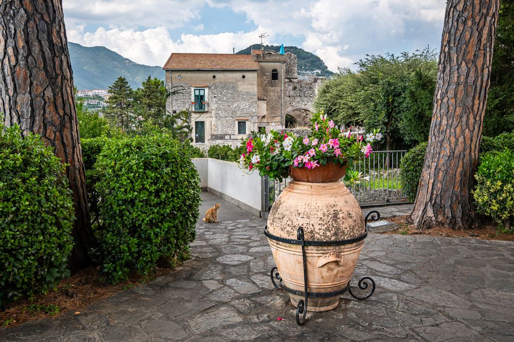 Photograph by Ivars Andrups