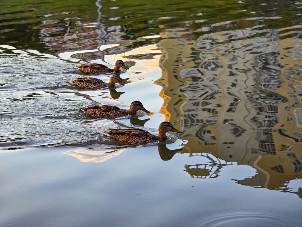 Photograph by Елена Сиушова