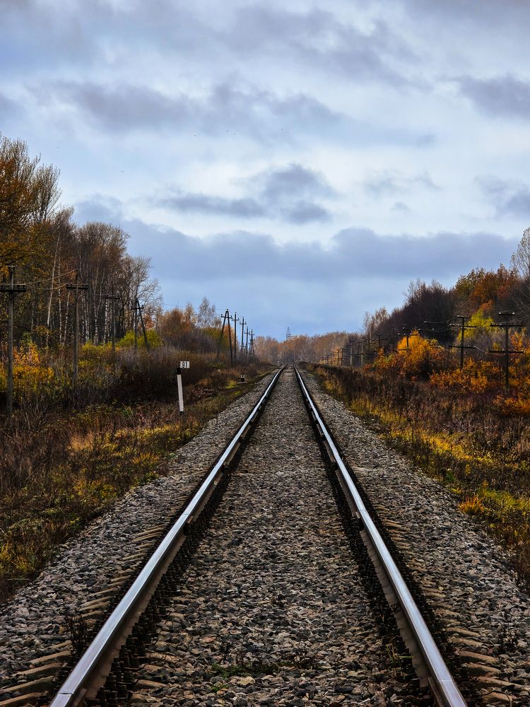 Photograph by Елена Сиушова