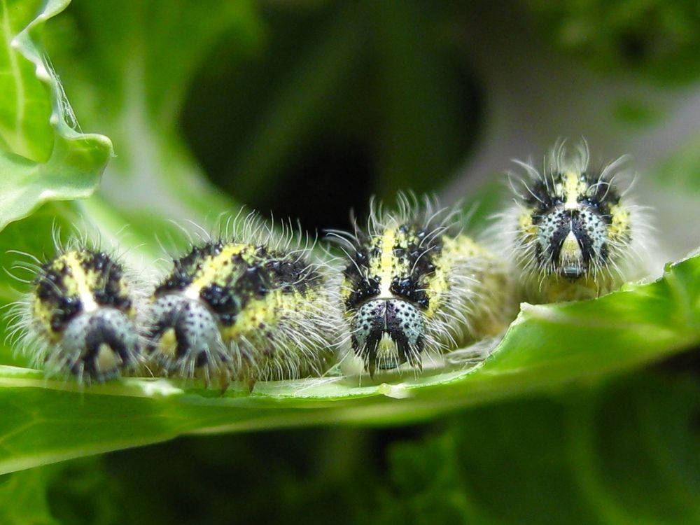 Photograph by Елена Смирнова