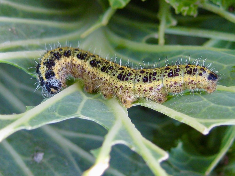 Photograph by Елена Смирнова