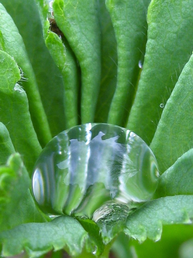 Photograph by Елена Смирнова