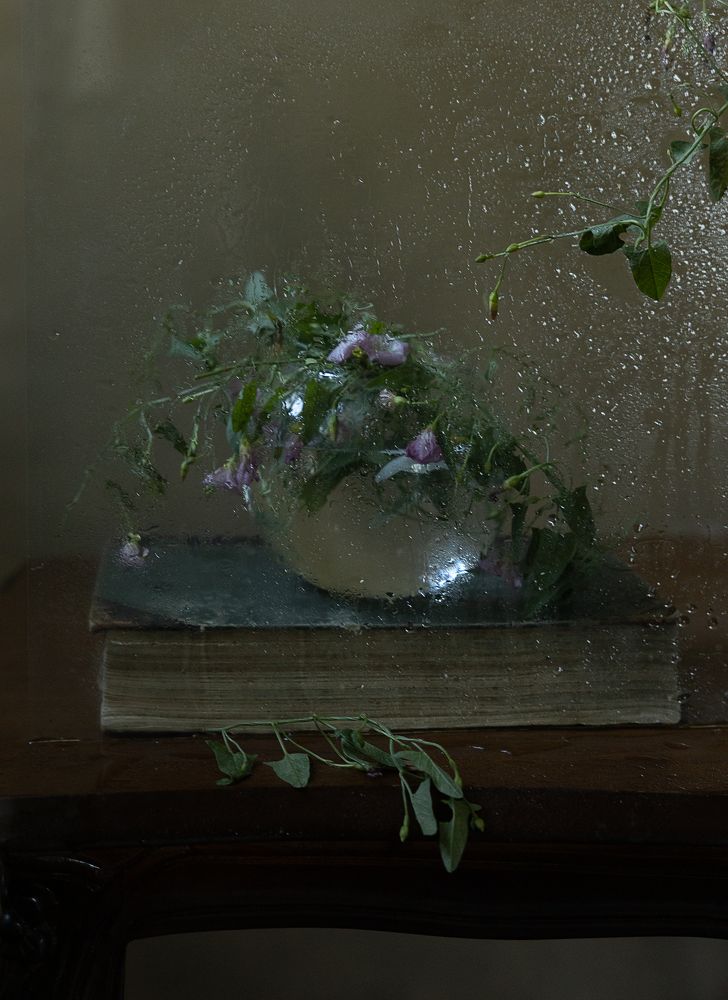 Photograph by Инна Бочарникова