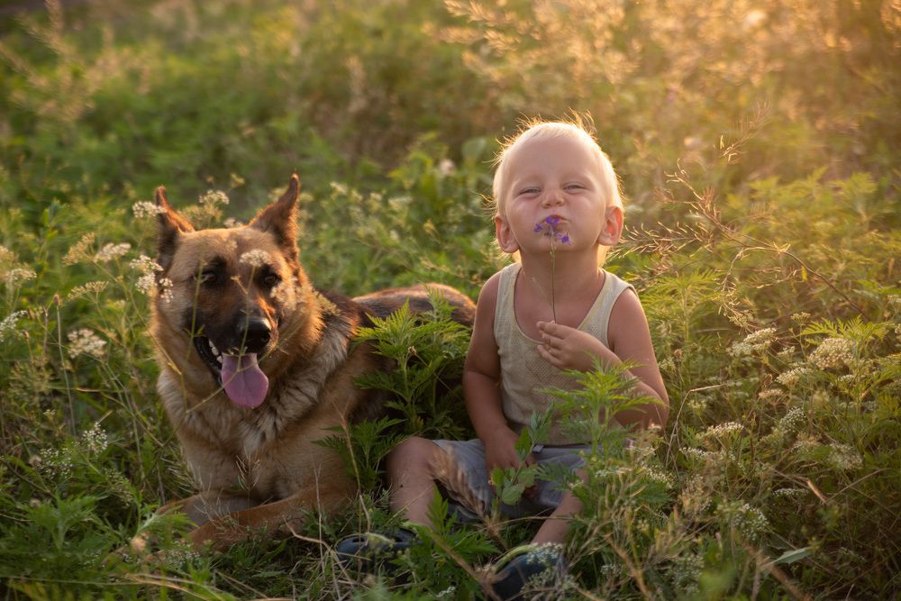 Photograph by Максим Михайлов
