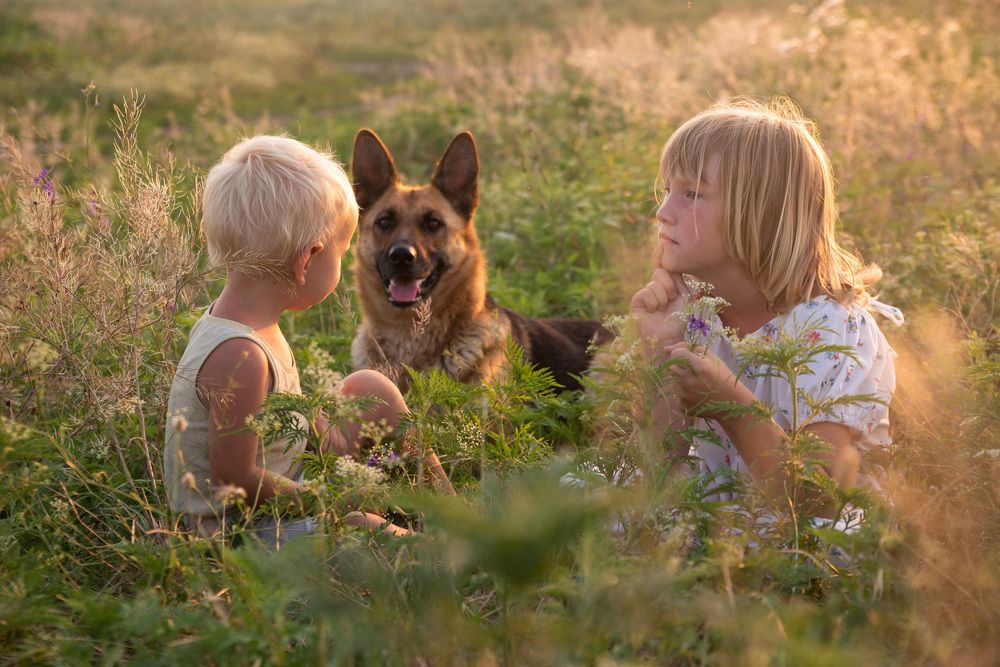 Photograph by Максим Михайлов