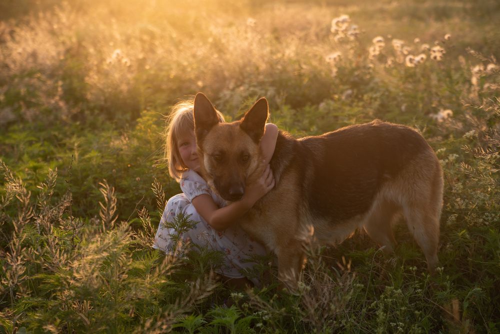 Photograph by Максим Михайлов