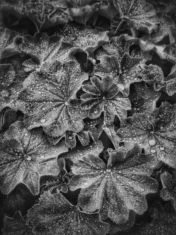 Фотография автора Julie Mishka