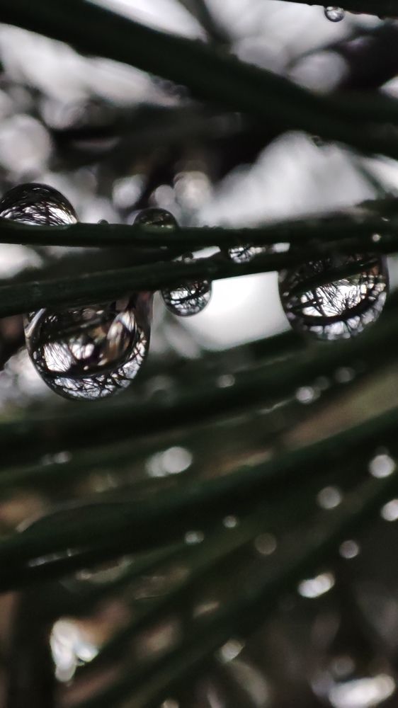 Photograph by Калюнова Наталья