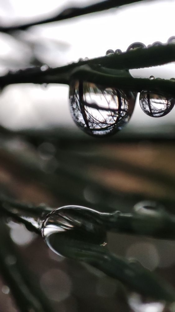 Photograph by Калюнова Наталья