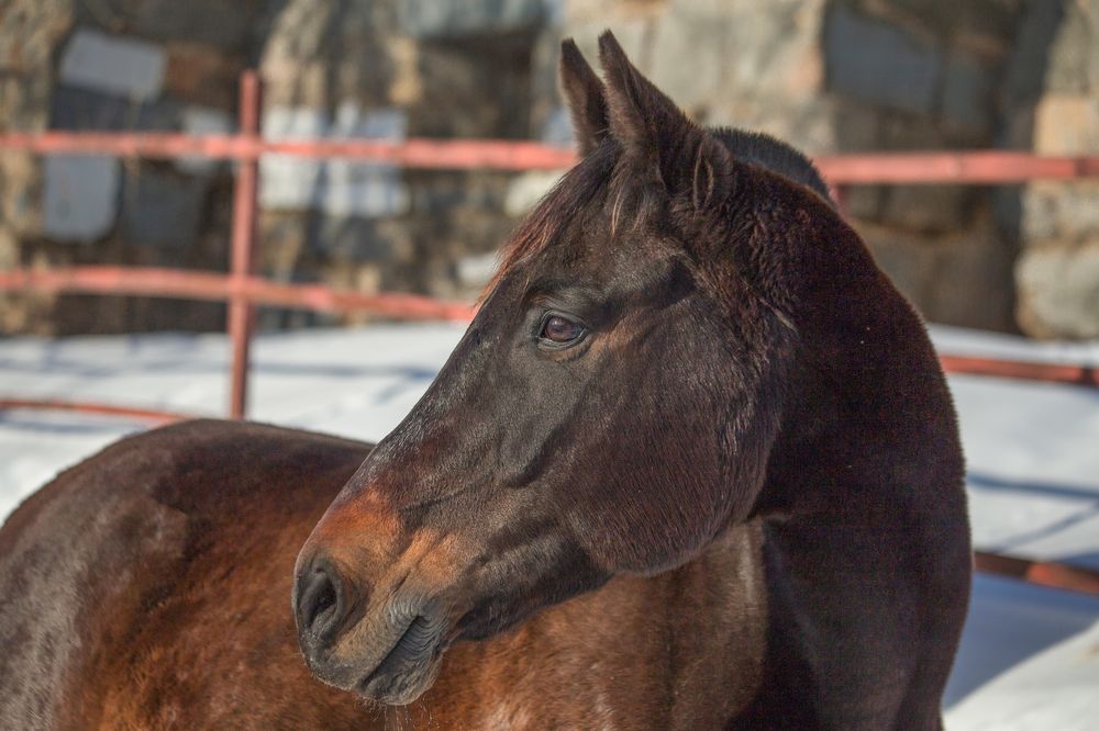 Фотография автора Aleksei Kartashov