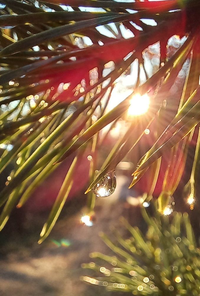 Photograph by Дмитрий Юдин