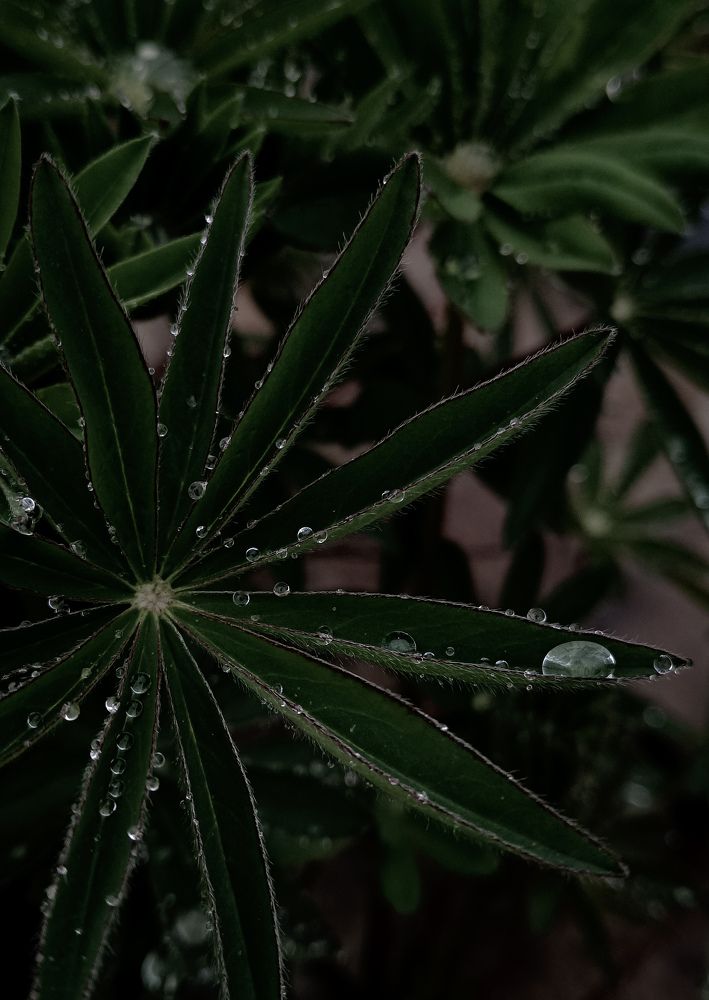 Фотография автора Ольга Кунакова