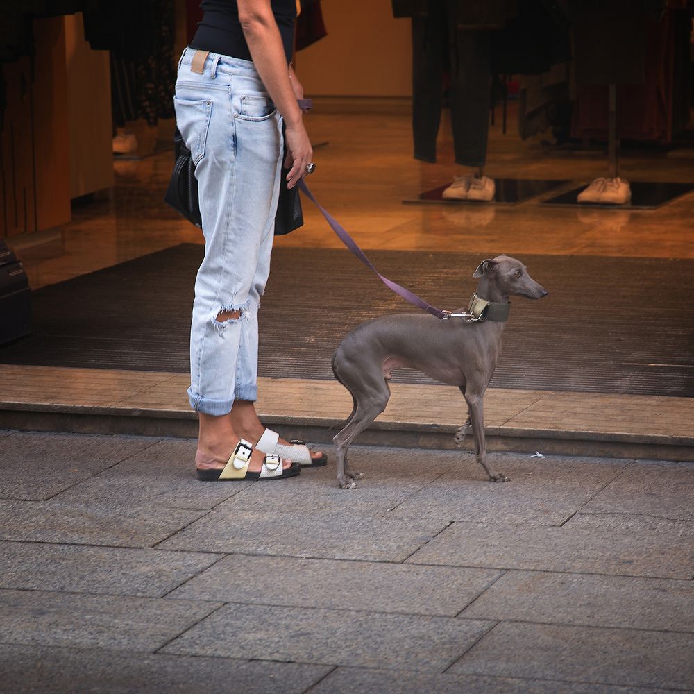 Фотография автора Aleksei Kartashov