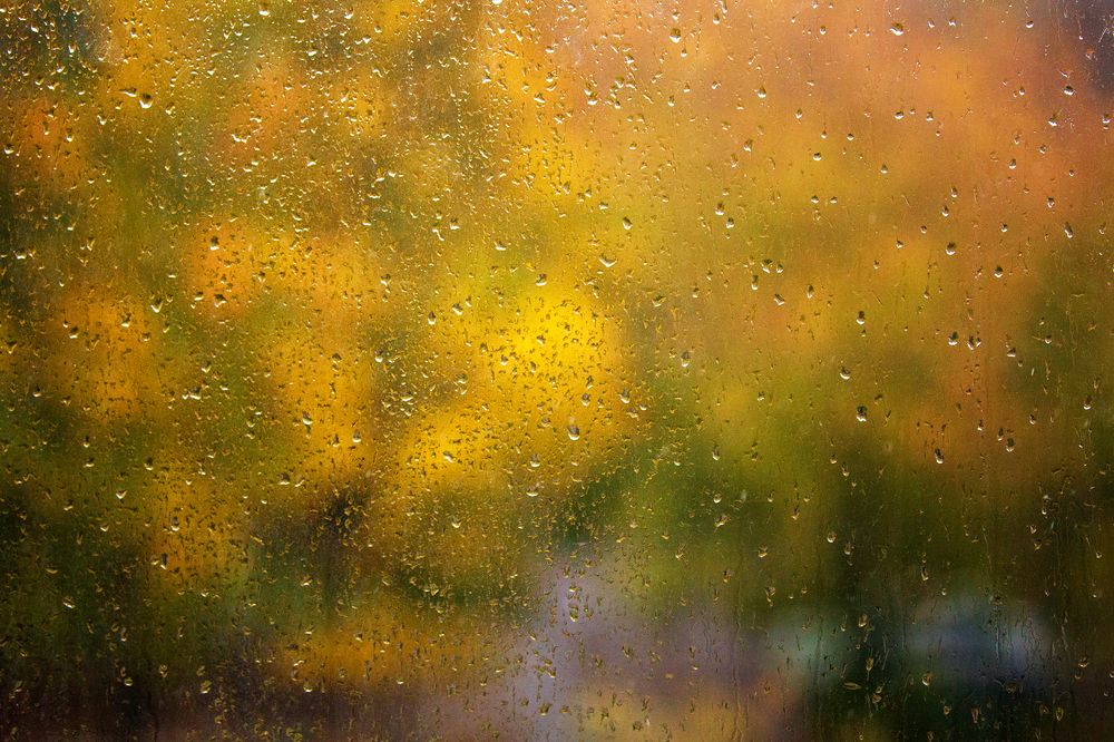 Фотография автора Aleksei Kartashov