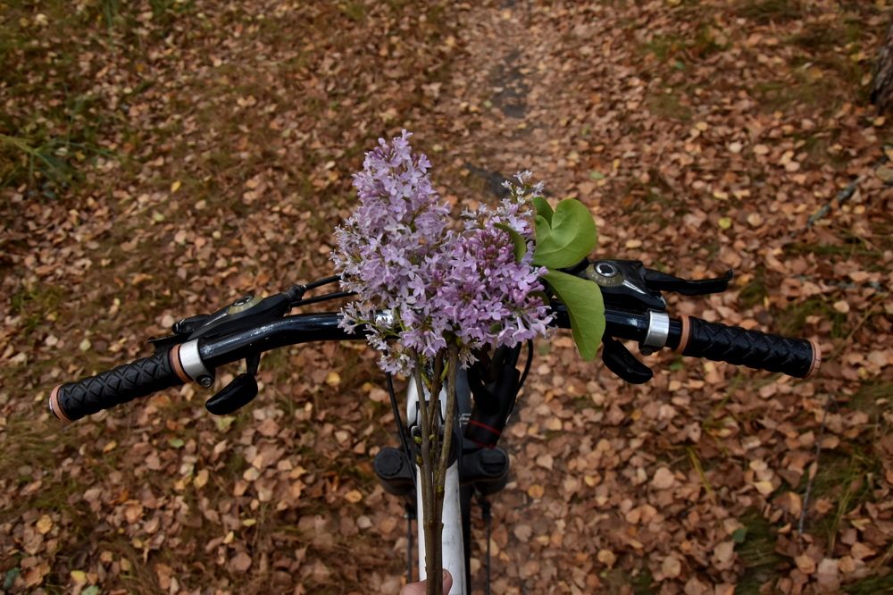 Photograph by Dimon Grinih