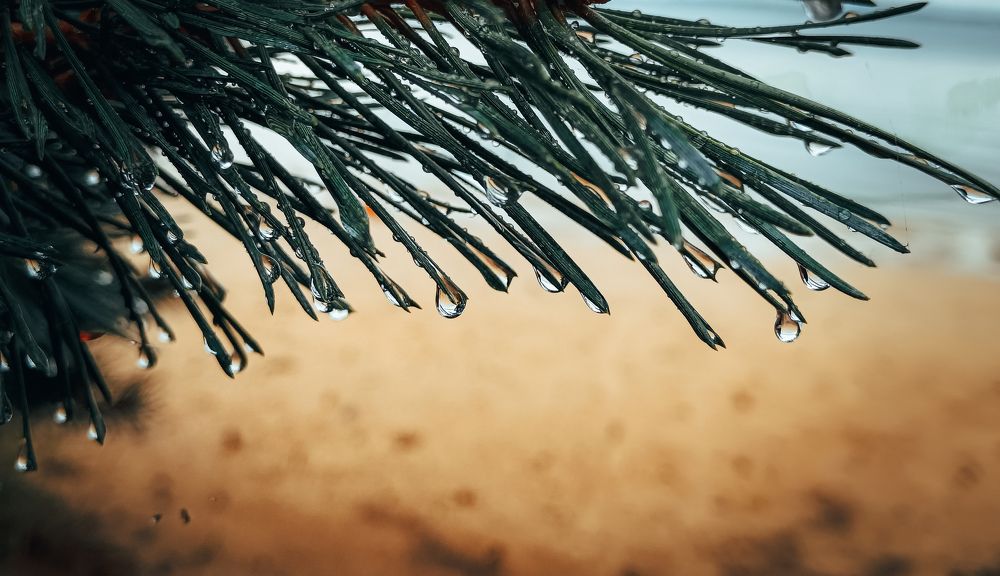 Фотография автора Ольга Кунакова