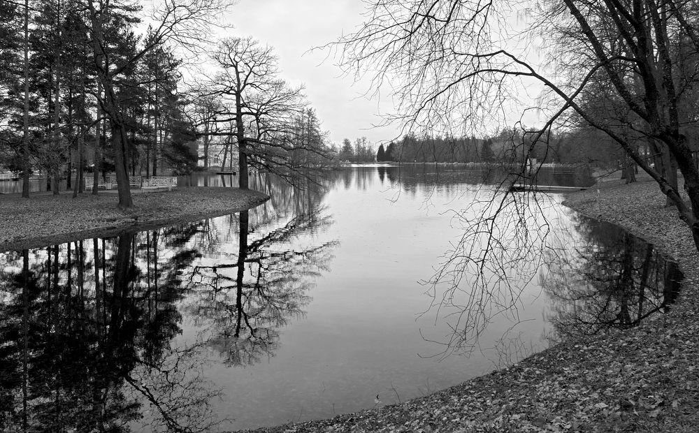 Фотография автора Харламова Валентина