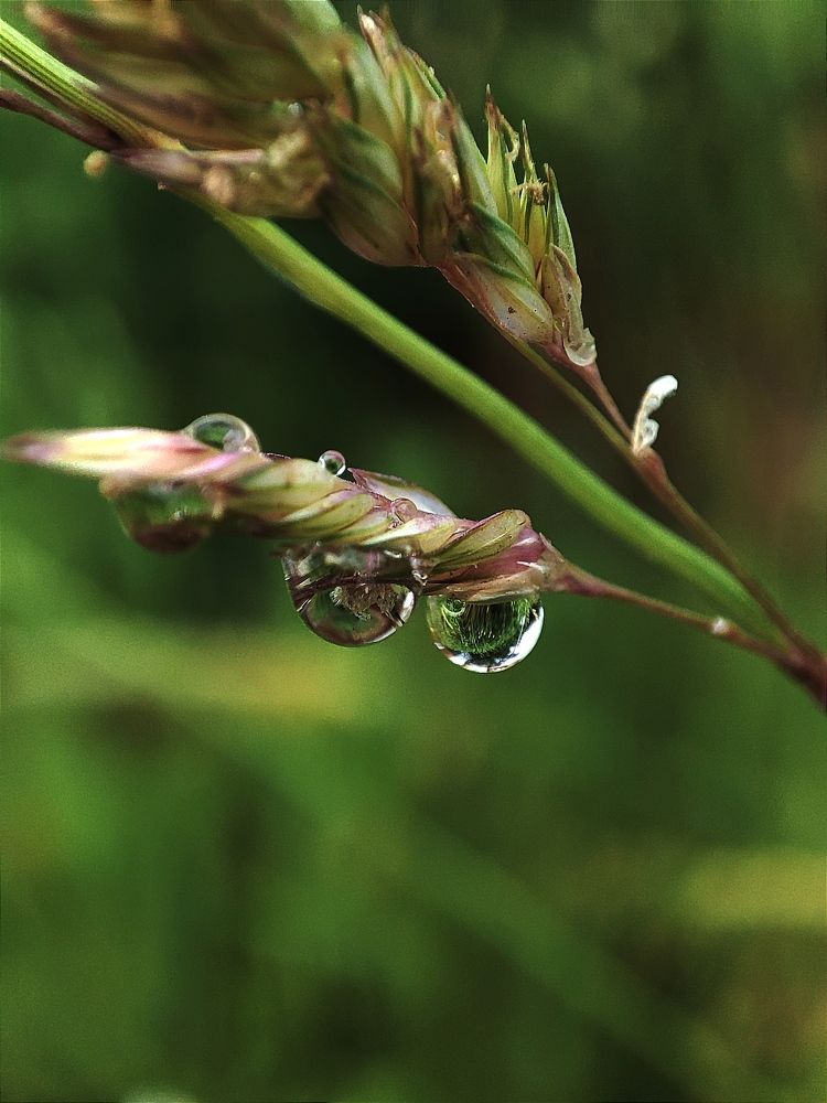 Photograph by Наталья