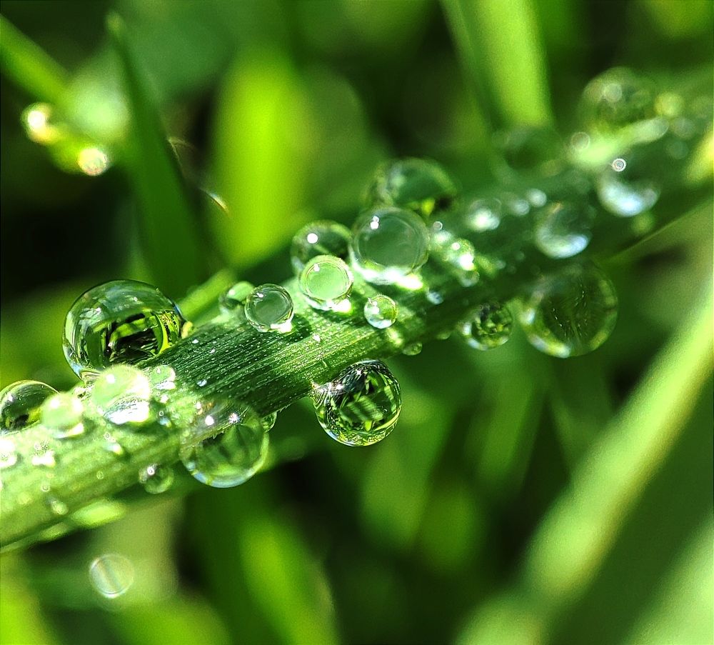 Photograph by Наталья