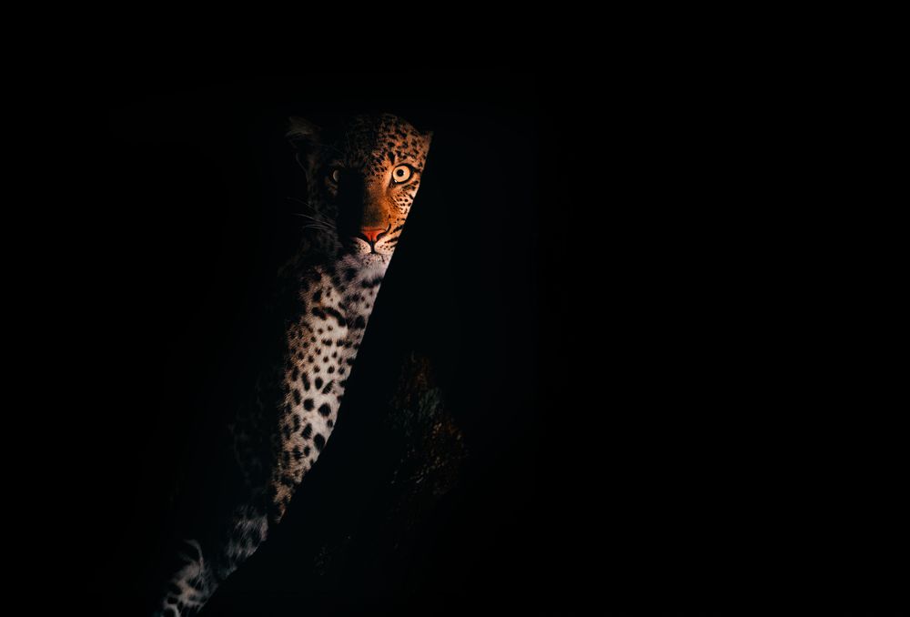 Photograph by Chris Stavrakas