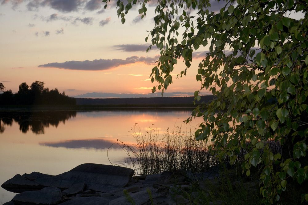 Photograph by Дмитрий Петренко