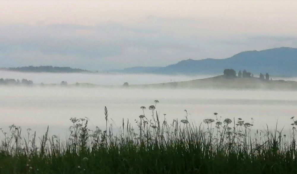 Photograph by Дмитрий Петренко