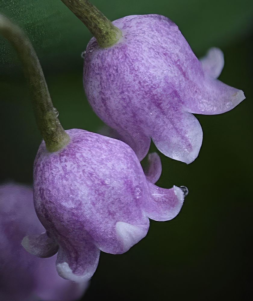 Photograph by Александр К