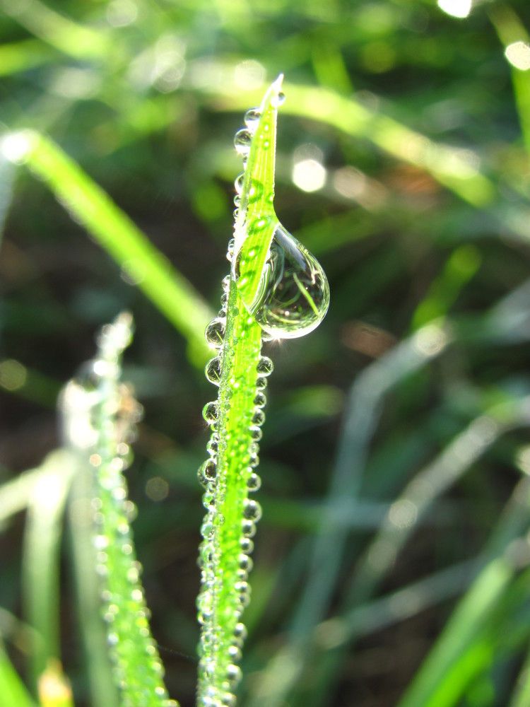 Photograph by Юлия