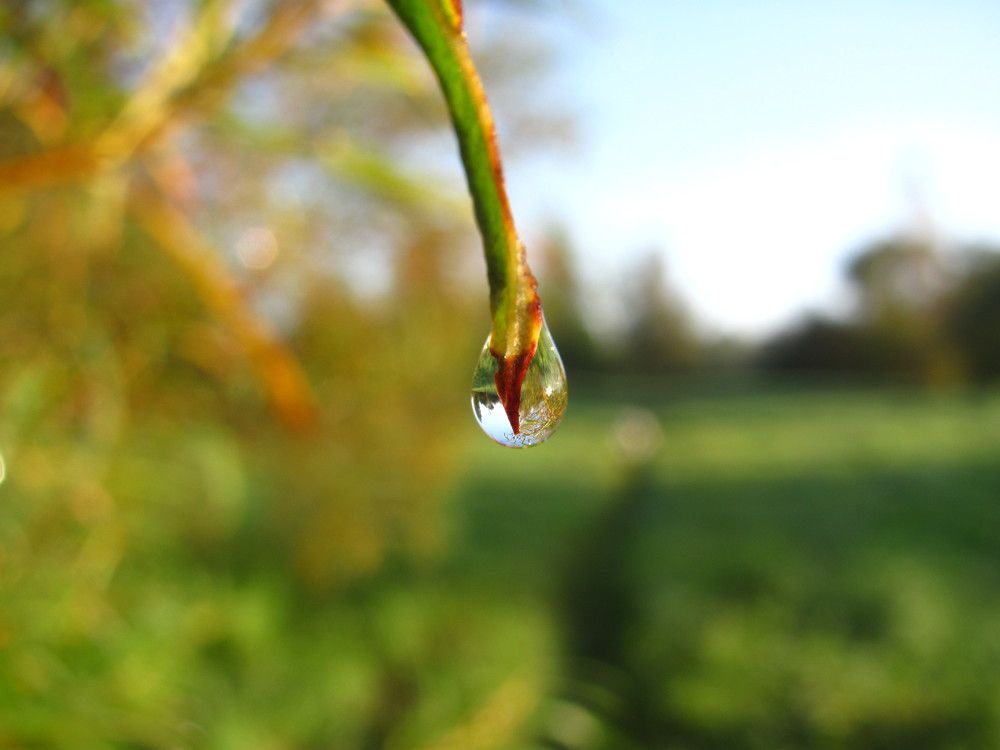 Photograph by Юлия