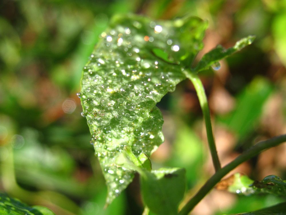 Photograph by Юлия