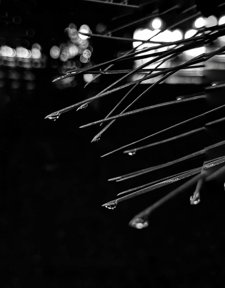 Photograph by Татьяна