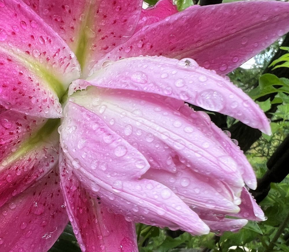 Photograph by Александр К